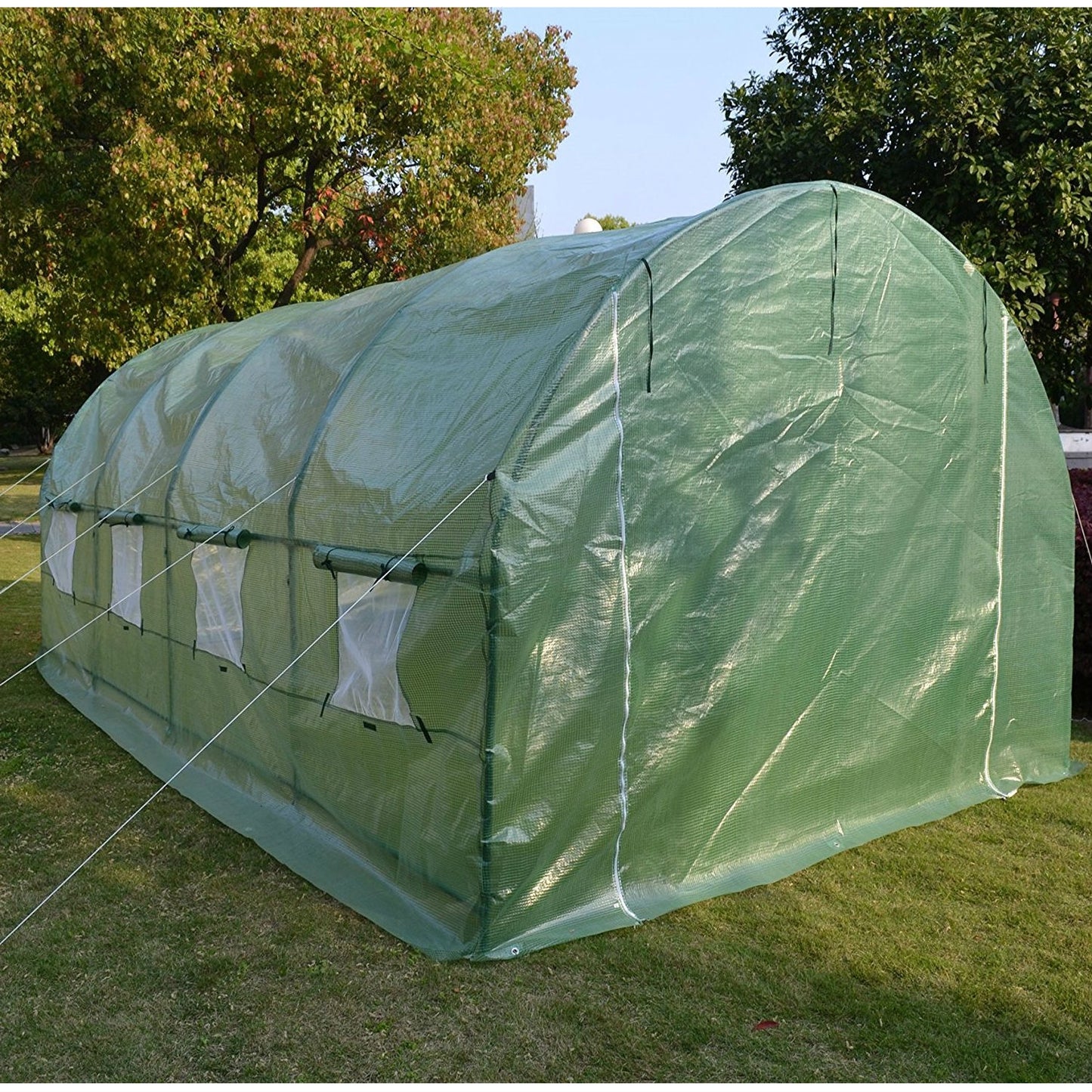 Large 10 x 20 Ft Garden Greenhouse Kit with Green PE Cover