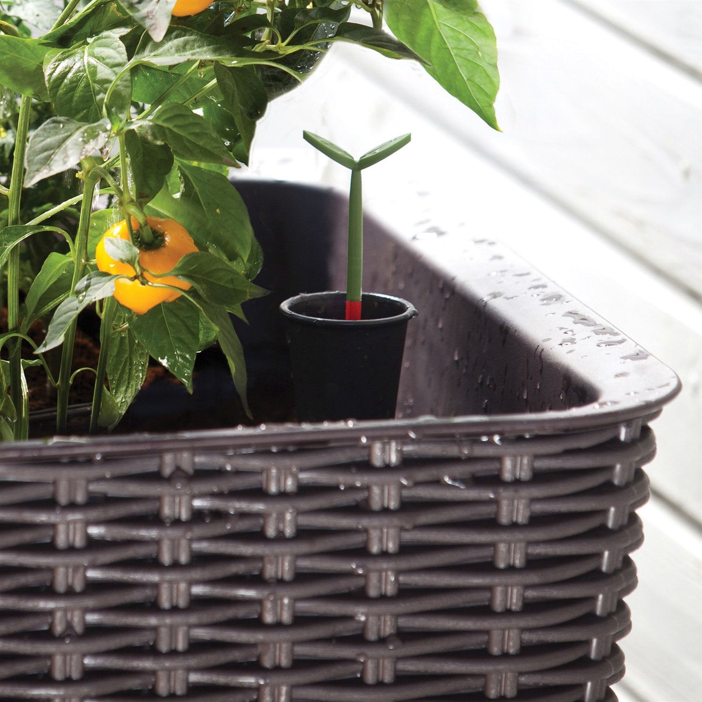 Modern Dark Brown Resin Wicker Raised Garden Bed Planter with Water Indicator