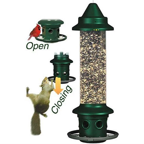 Squirrel-proof Bird Feeder with Perch Ring